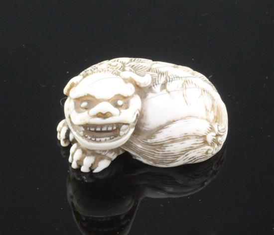 A Japanese ivory netsuke of a shi-shi, Edo period, 3.6cm